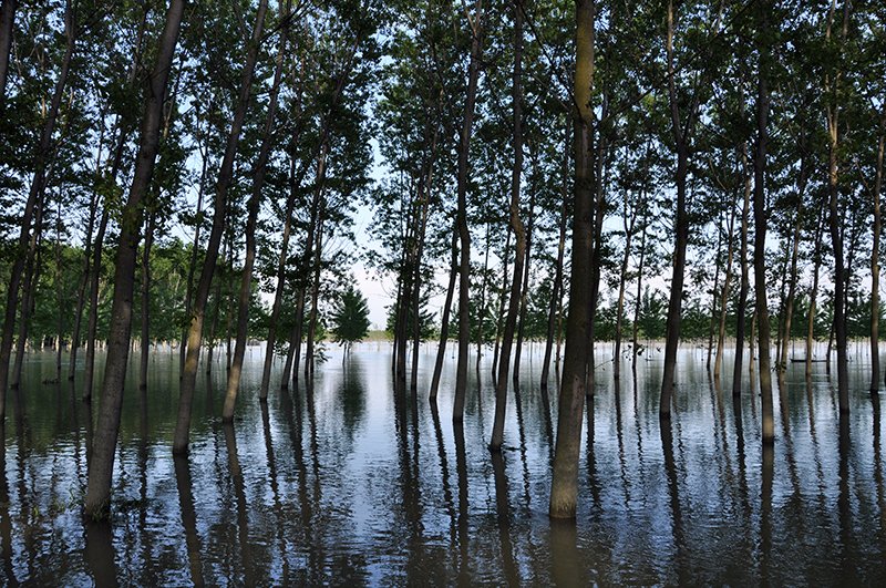 Po River in Brescello